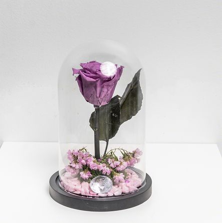 Eeuwige Bloem Parijs