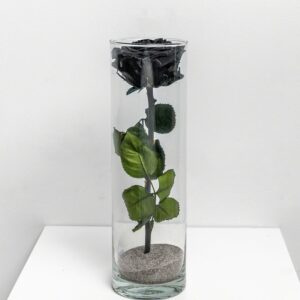 Zwarte eeuwige roos L