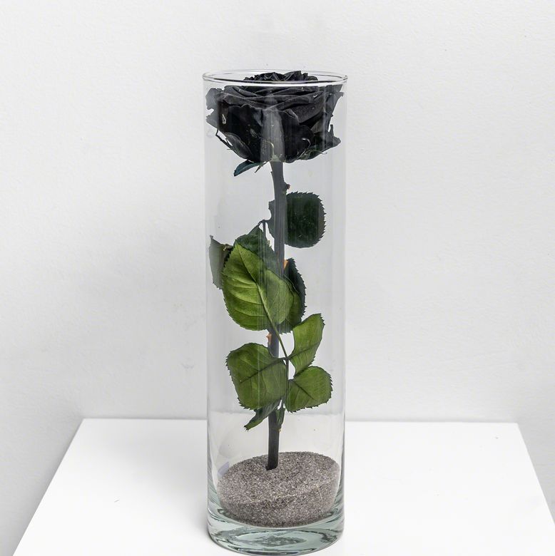 Zwarte eeuwige roos L