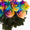 10 roses arc-en-ciel 10 roses arc-en-ciel