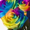10 roses arc-en-ciel 10 roses arc-en-ciel