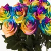 10 roses arc-en-ciel 10 roses arc-en-ciel