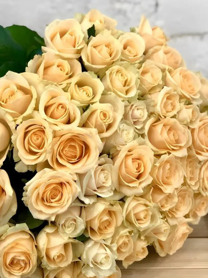 10 roses couleur saumon - Avalanche Peach