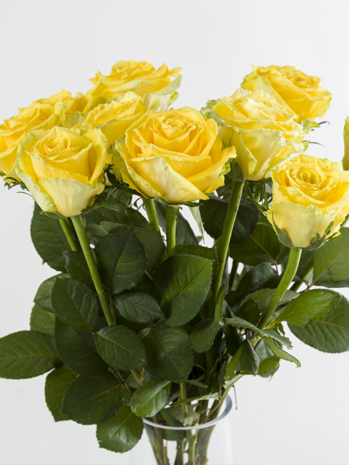 10 gele rozen