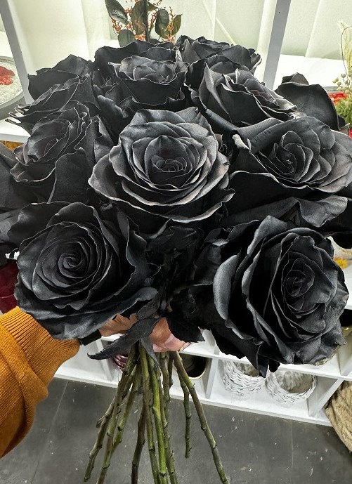 10 zwarte rozen 10 zwarte rozen