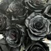 zwarte rozen zwarte rozen