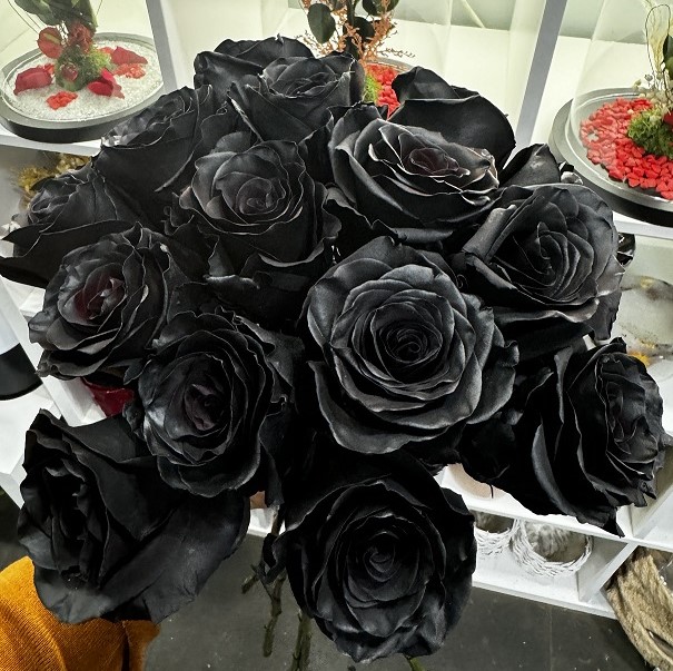 10 zwarte rozen 10 zwarte rozen