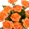 10 oranje rozen 10 oranje rozen