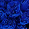 blauwe rozen blauwe rozen