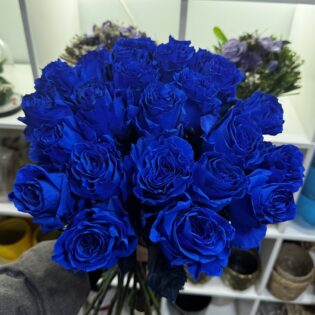 blauwe rozen