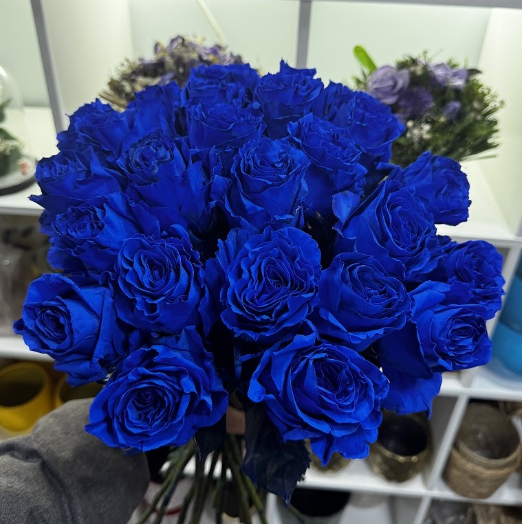 blauwe rozen