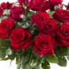 10 roses rouges 10 roses rouges