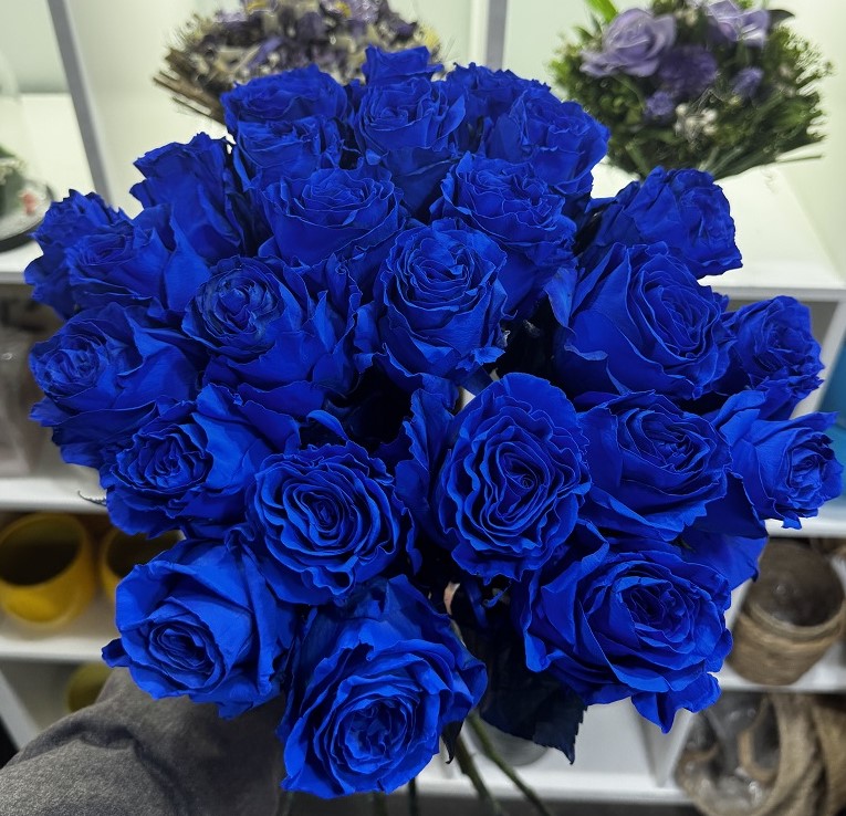 30 blauwe rozen
