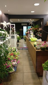 Lotus Flower Art plaats foto