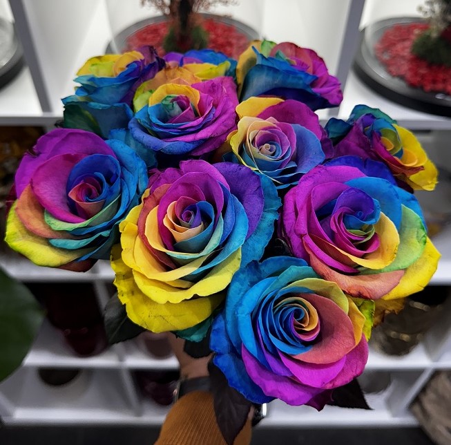 Regenboogrozen Regenboogrozen