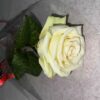 Livraison fleurs Rose blanche Rose blanche