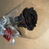 Livraison fleurs Rose noire Rose noire