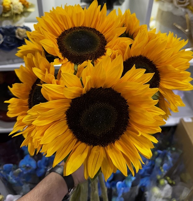 Het zonnebloemboeket: Soléa