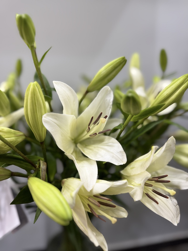 Het Brusselse boeket Het Brusselse boeket